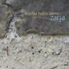 Zarja (introduction)