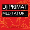 Meditator II-Steve Banks Remix