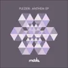 Plezier Anthem-Extended Mix