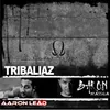 Tribaliaz-Rpo Remix Dub