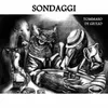 About Sondaggi Song