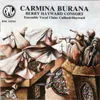 Carmina burana: Celum non animum, non te lusisse pudeat, Nomen a sollempnibus