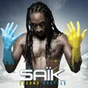 About S.A.Ï.K Song