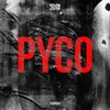 PYCO-Put Your City On