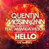 Hello-Adrien Toma Remix