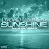 Sunshine-Dance Radio Mix