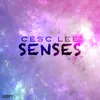 Senses-Radio Edit