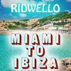 About Miami to Ibiza Song