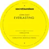 Everlasting-Marcelus Remix