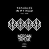 Troubles in My Head-Radio Edit