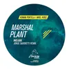 Marshal Plant-Jorge Savoretti Remix
