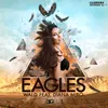 Eagles-Hr. Troels Remix