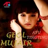 About Geol Mujair Song