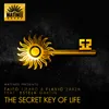 The Secret Key Of Life-Tikaro & Flavio Terraze Mix