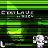 Cest la vie-Remix