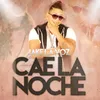 About Cae la Noche Song