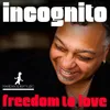 Freedom to Love-Atjazz Instrumental Remix