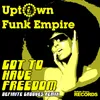 About Got to Have Freedom-Definite Grooves Remix Song