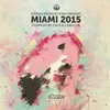 Miami 2015-Continous DJ Mix, Pt. 2