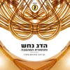 About גבי ודבי-היפ הופ ציוני Song