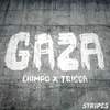 Gaza-Zed Bias Remix
