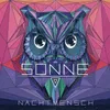 Sonne-Nico Pusch Remix