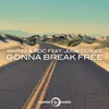 About Gonna Break Free Song