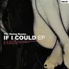 If I Could-Roland Schwarz & Parov Stelar Remix