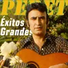 About La Vuelta del Gitano Song