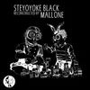 Skyline-Mallone's City Lights Remix