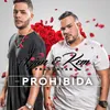 About Prohibida Song