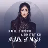 Middle of Night-Radio Edit