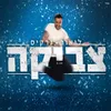 About Tzvika Song