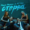 About Стерва Song