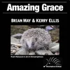 About Amazing Grace Song