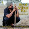 About Pind Vikau Hai Song
