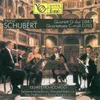 String Quartet No. 15 in G Major, Op. 161, D. 887: II. Andante un poco moto