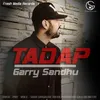 About Tadap Song