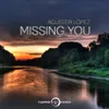 About Missing You-Radio Edit Song