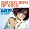 The Last Days of Disco-Radio Edit