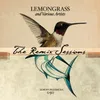 Breaking Waves-Lemongrass Remix