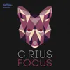 Focus