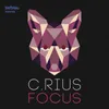 Focus-Steve Hope Remix