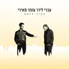 About בעיר הזאת Song