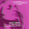 About Synchronize-MaBose Extended Mix Song
