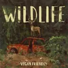 About Wildlife Song
