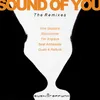 Sound of You-Gushi & Raffunk Remix
