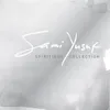 Santoor (Instrumental)-Live in Wembley Arena