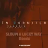 About În Dormitor-Sloupi & Lucky Way Remix Song