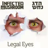 About Legal Eyes-English Version Song